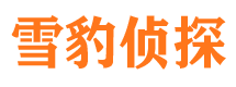 安达侦探公司